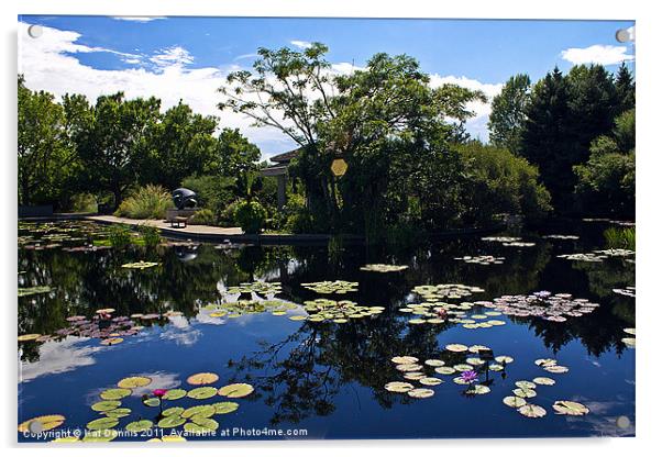 Denver Botanical Gardens Acrylic by Kat Dennis