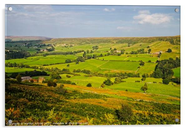 Danby Dale from Castleton Rigg - North York Moors Landscape Acrylic by Martyn Arnold