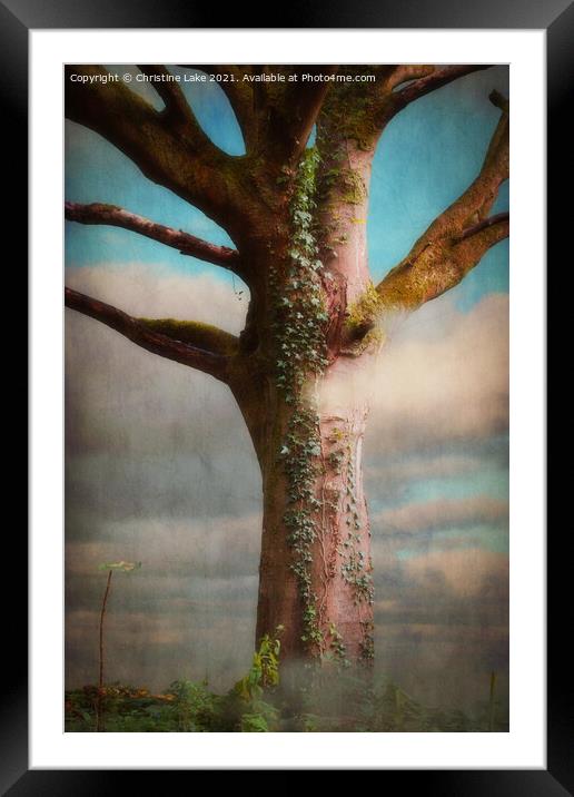 Tree In The Mist Framed Mounted Print by Christine Lake