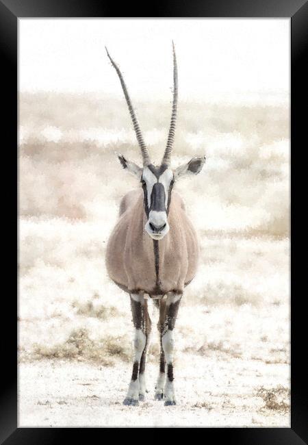 Oryx Posing at Etosha Framed Print by Belinda Greb