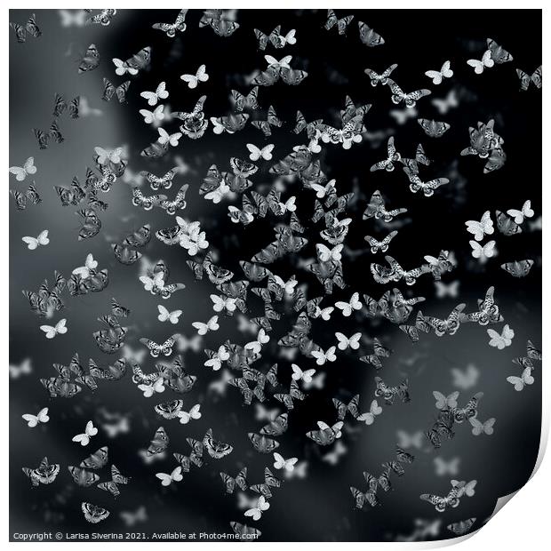 Night butterflies Print by Larisa Siverina