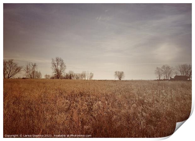Outdoor field Print by Larisa Siverina