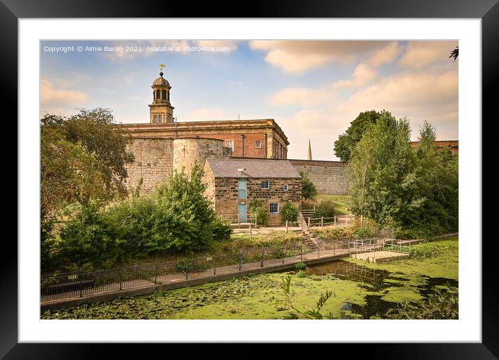 The banks of the River Foss, York  Framed Mounted Print by Aimie Burley