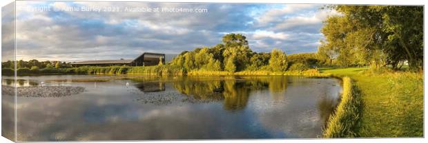 Lakeside Panoramic Canvas Print by Aimie Burley