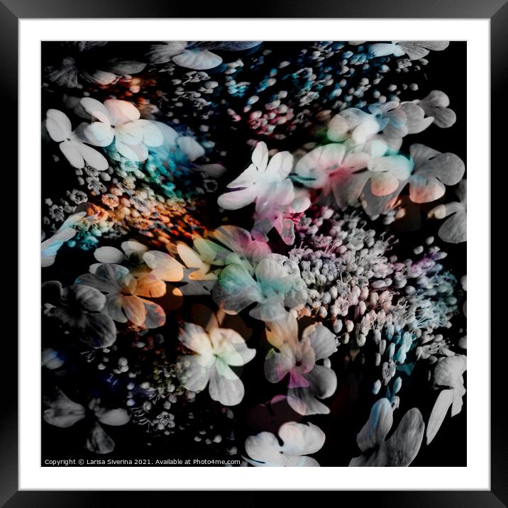 Abstract texture Framed Mounted Print by Larisa Siverina