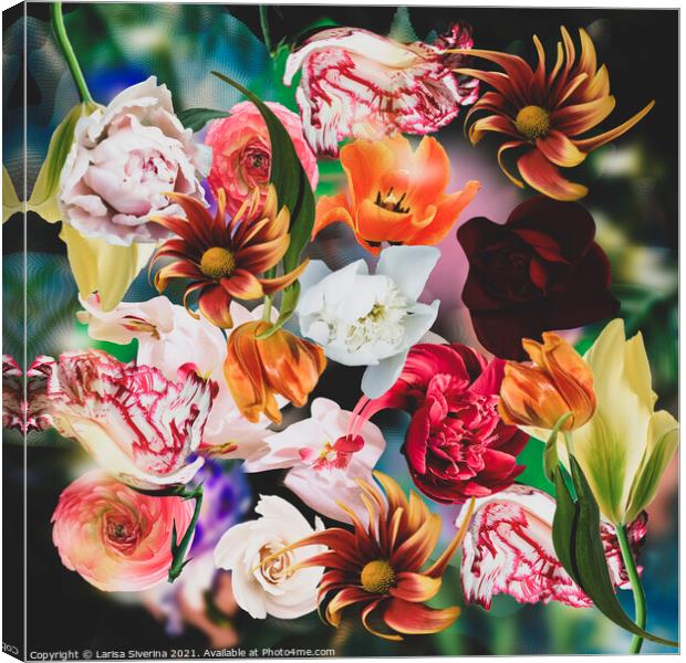 A close up of a flower Canvas Print by Larisa Siverina