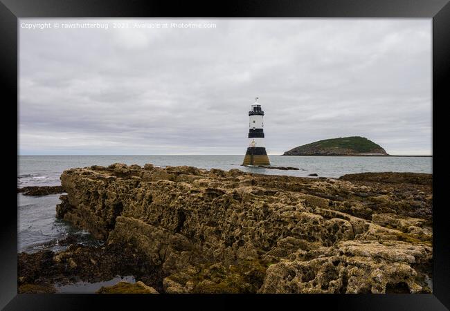 Trwyn du lighthouse and Puffin Island Framed Print by rawshutterbug 