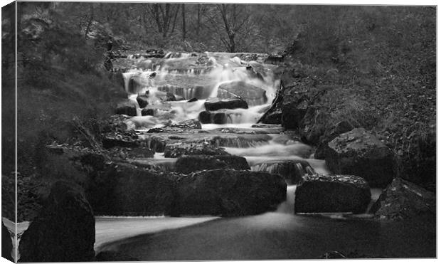 Waterfall In Black And White Canvas Print by Steve Purnell