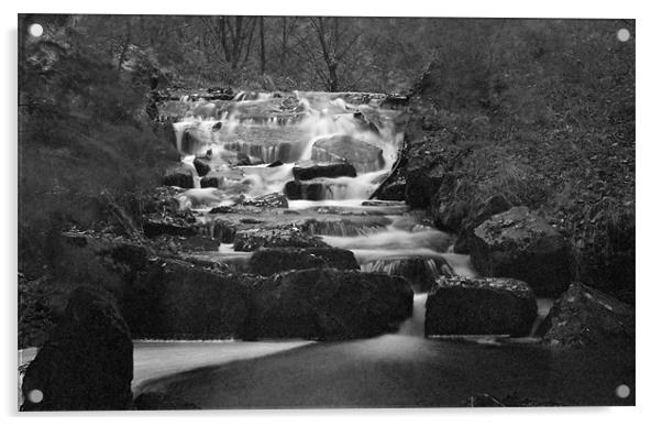 Waterfall In Black And White Acrylic by Steve Purnell