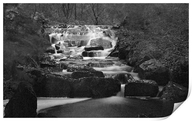 Waterfall In Black And White Print by Steve Purnell