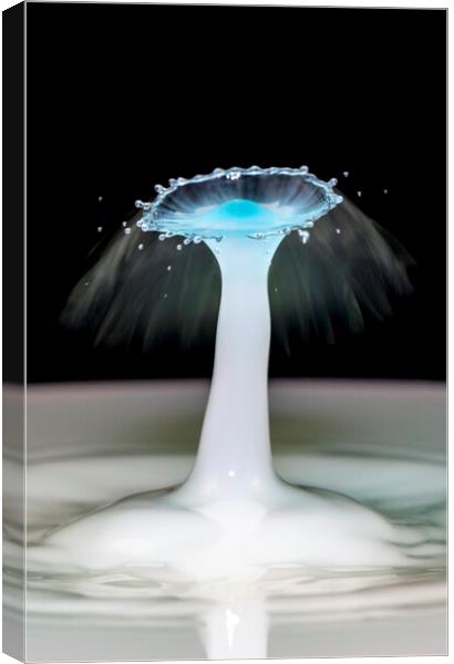 Water Drop Collision Canvas Print by Antonio Ribeiro