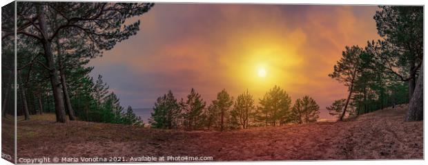 Colorful sunset over sea coast and forest Canvas Print by Maria Vonotna