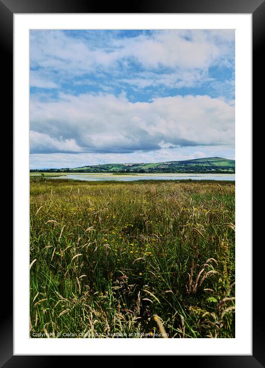 View from Inch Island Donegal Framed Mounted Print by Ciaran Craig