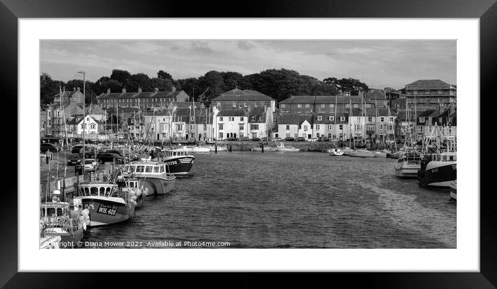 Weymouth Harbour Black and White Framed Mounted Print by Diana Mower