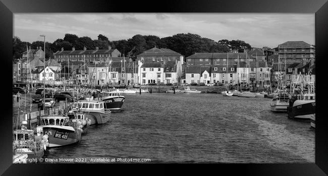 Weymouth Harbour Black and White Framed Print by Diana Mower