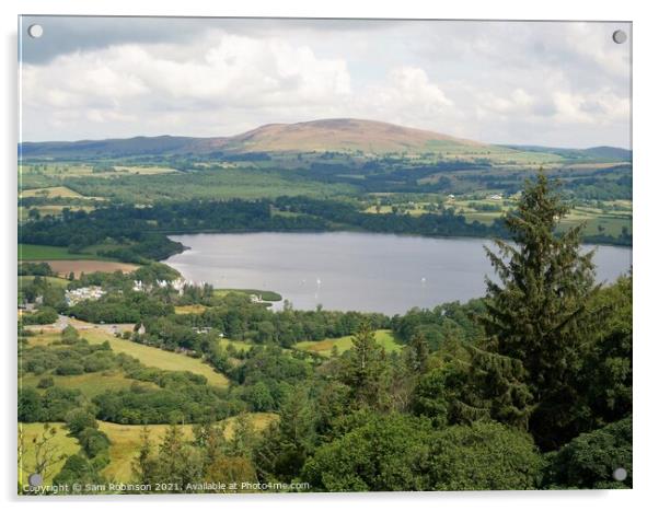 Bassenthwaite Lake View from Sale Fell Acrylic by Sam Robinson