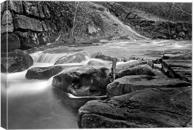 Waterfall Mono Canvas Print by Steve Purnell