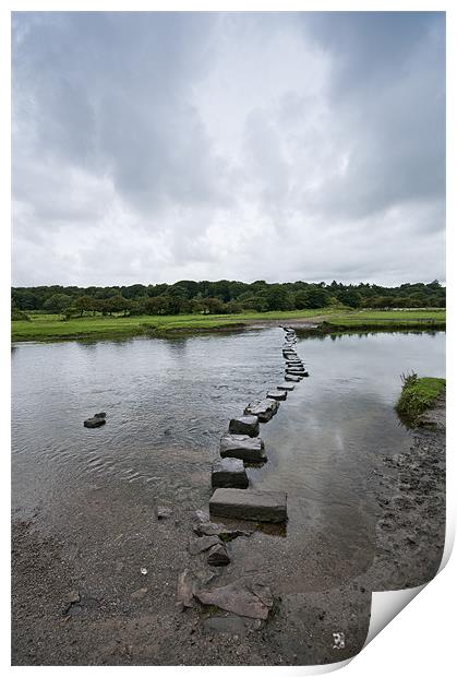 Stepping Stones Print by Steve Purnell