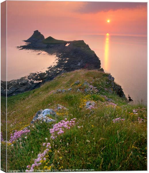 Worms Head at sunset, Rhossili, Gower, South Wales, UK Canvas Print by Geraint Tellem ARPS