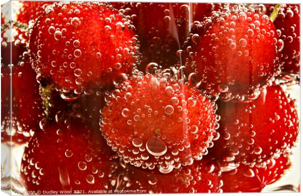 Fizzy Cherry Delight Canvas Print by Dudley Wood