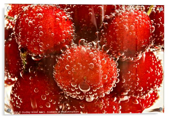 Fizzy Cherry Delight Acrylic by Dudley Wood