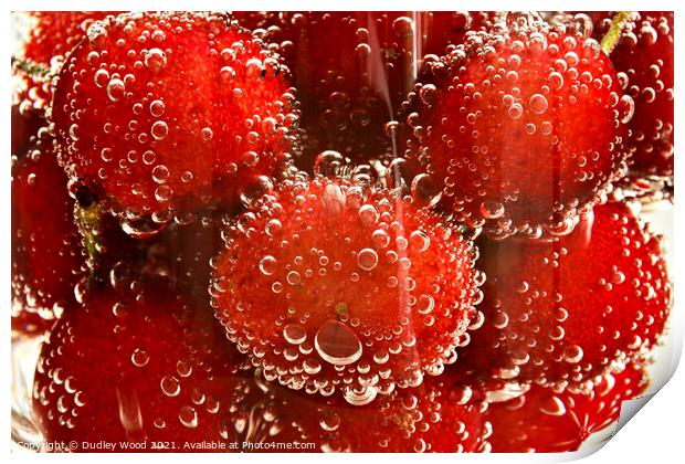 Fizzy Cherry Delight Print by Dudley Wood