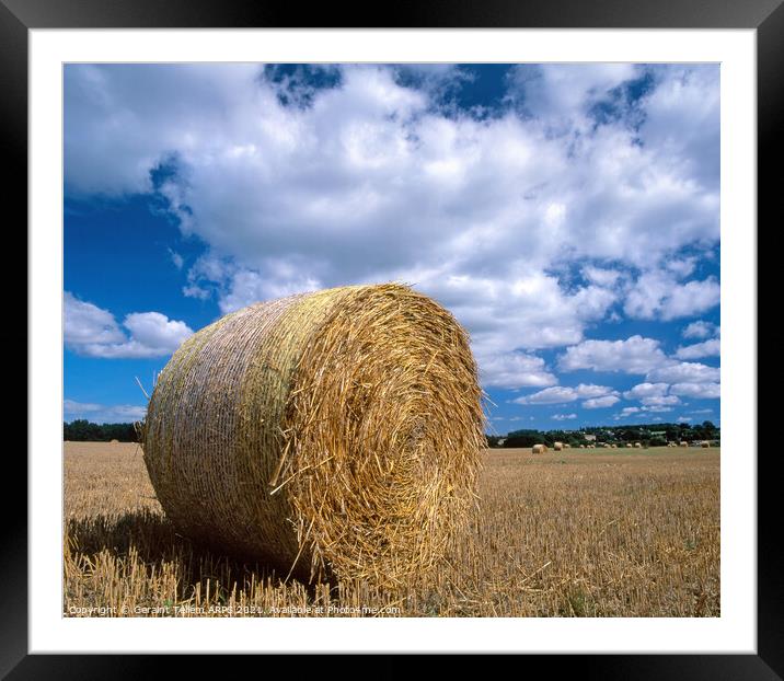 Hay bale near Witham, Kent, UK Framed Mounted Print by Geraint Tellem ARPS