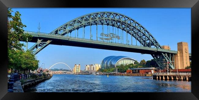 Tyne Bridges Framed Print by Michele Davis