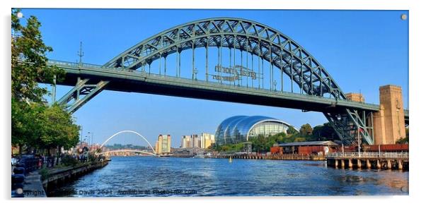 Tyne Bridges Acrylic by Michele Davis