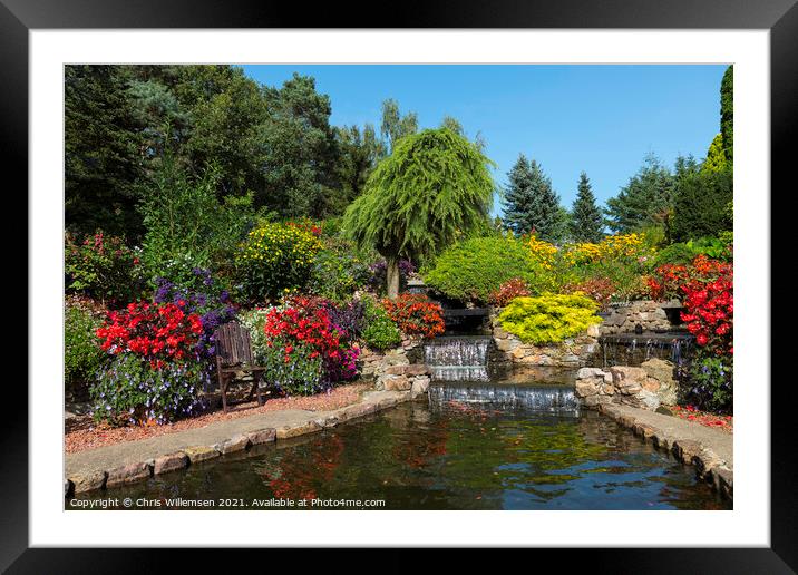 flowers and waterfall in a garden in holland Framed Mounted Print by Chris Willemsen