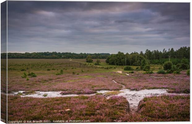 Heather in bloom in the New Forest, UK Canvas Print by KB Photo