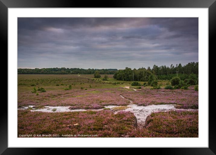 Heather in bloom in the New Forest, UK Framed Mounted Print by KB Photo