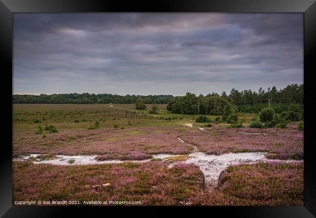 Heather in bloom in the New Forest, UK Framed Print by KB Photo