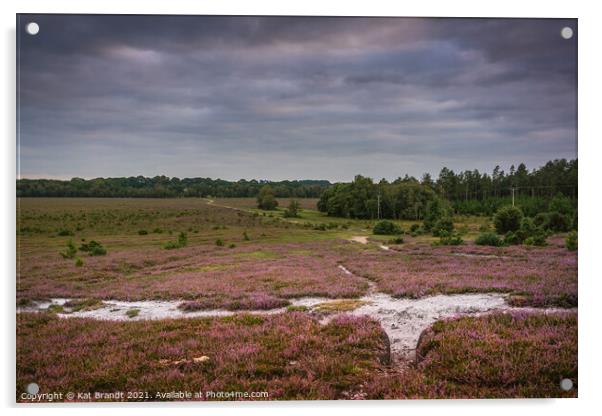 Heather in bloom in the New Forest, UK Acrylic by KB Photo