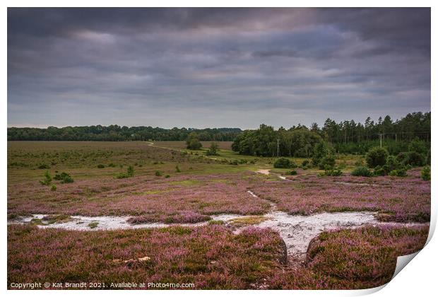 Heather in bloom in the New Forest, UK Print by KB Photo