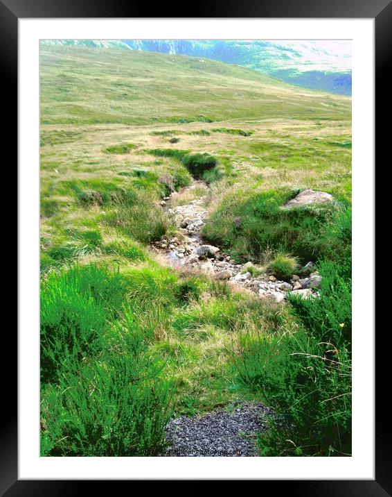 Small Stream Framed Mounted Print by Stephanie Moore