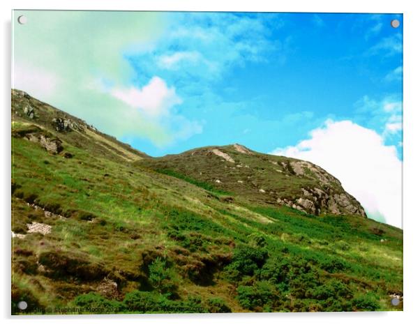 Green Hills of Sligo Acrylic by Stephanie Moore