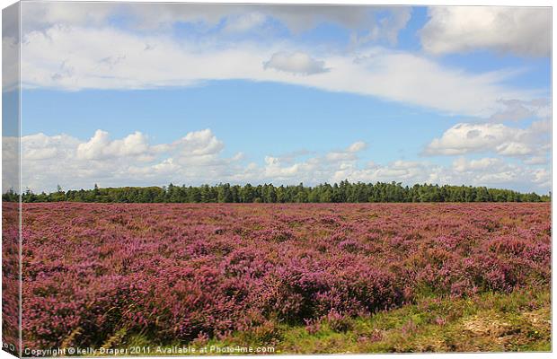 New Forest Heather Canvas Print by kelly Draper
