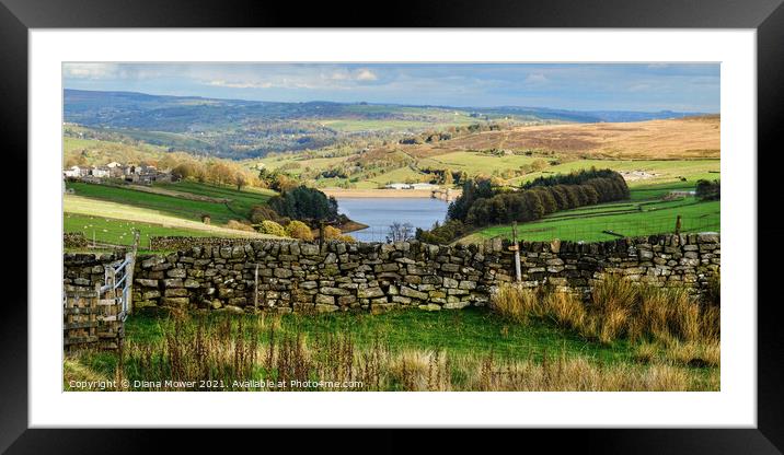 Lower Laithe Yorkshire Panoramic Framed Mounted Print by Diana Mower