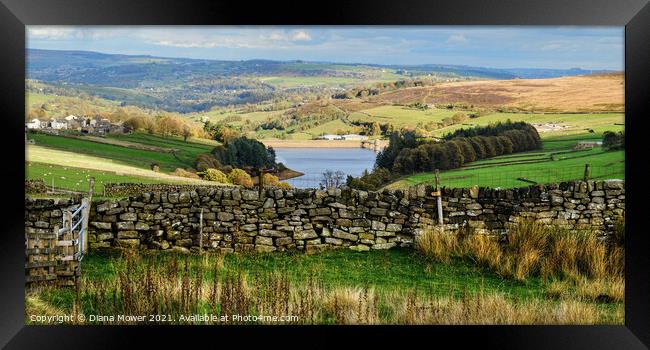 Lower Laithe Yorkshire Panoramic Framed Print by Diana Mower
