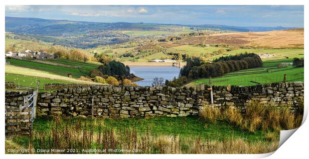 Lower Laithe Yorkshire Panoramic Print by Diana Mower