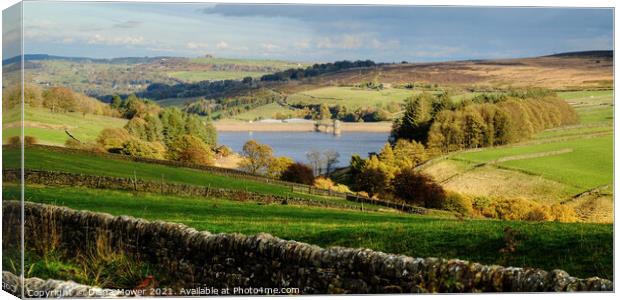 Lower Laithe Reservoir Panoramic Canvas Print by Diana Mower