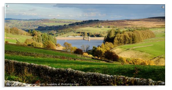 Lower Laithe Reservoir Panoramic Acrylic by Diana Mower