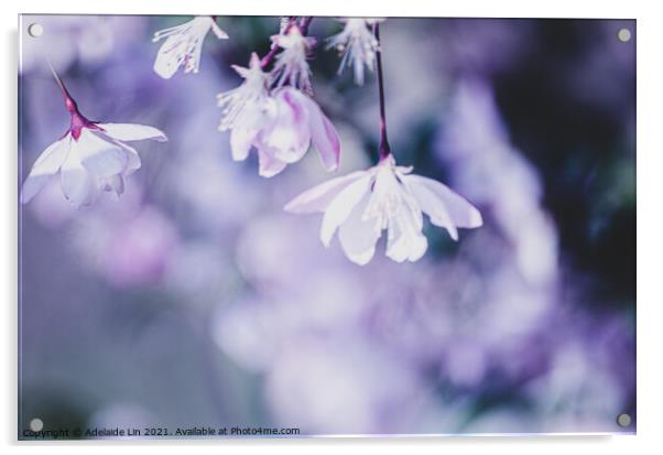 Cherry blossom fantasy Acrylic by Adelaide Lin