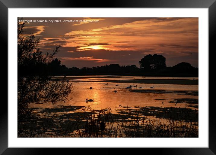 Sunset in Brunswick Framed Mounted Print by Aimie Burley