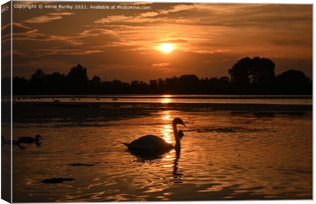 Swan silhouette Canvas Print by Aimie Burley