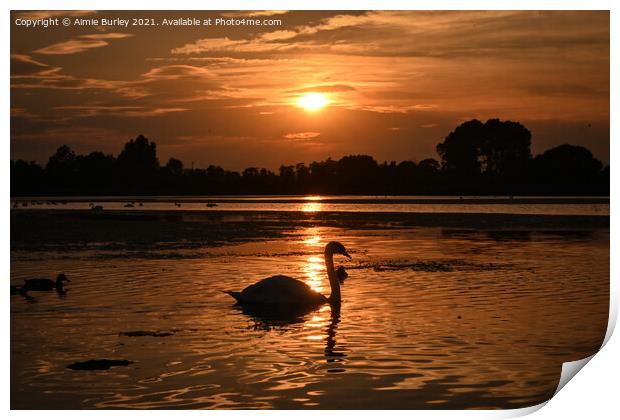 Swan silhouette Print by Aimie Burley