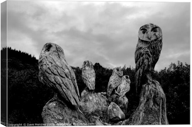 Parliament of Owls Canvas Print by Dave Menzies