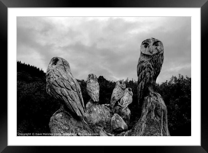 Parliament of Owls Framed Mounted Print by Dave Menzies