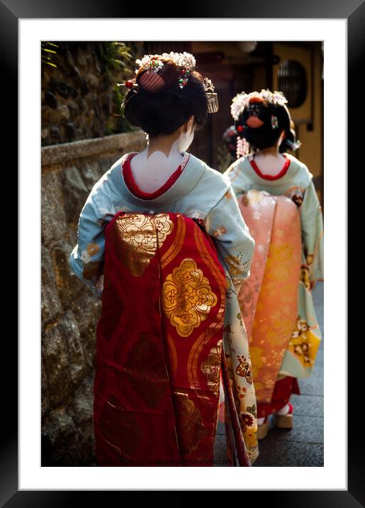Details of geisha girl costume in the back Framed Mounted Print by Adelaide Lin